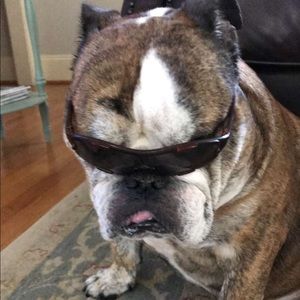 Meet your Posher, Jenna